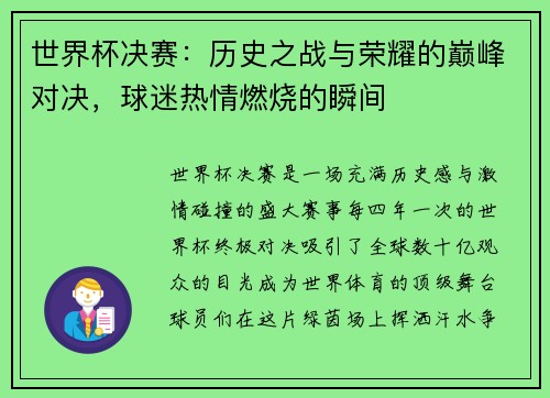 世界杯决赛：历史之战与荣耀的巅峰对决，球迷热情燃烧的瞬间